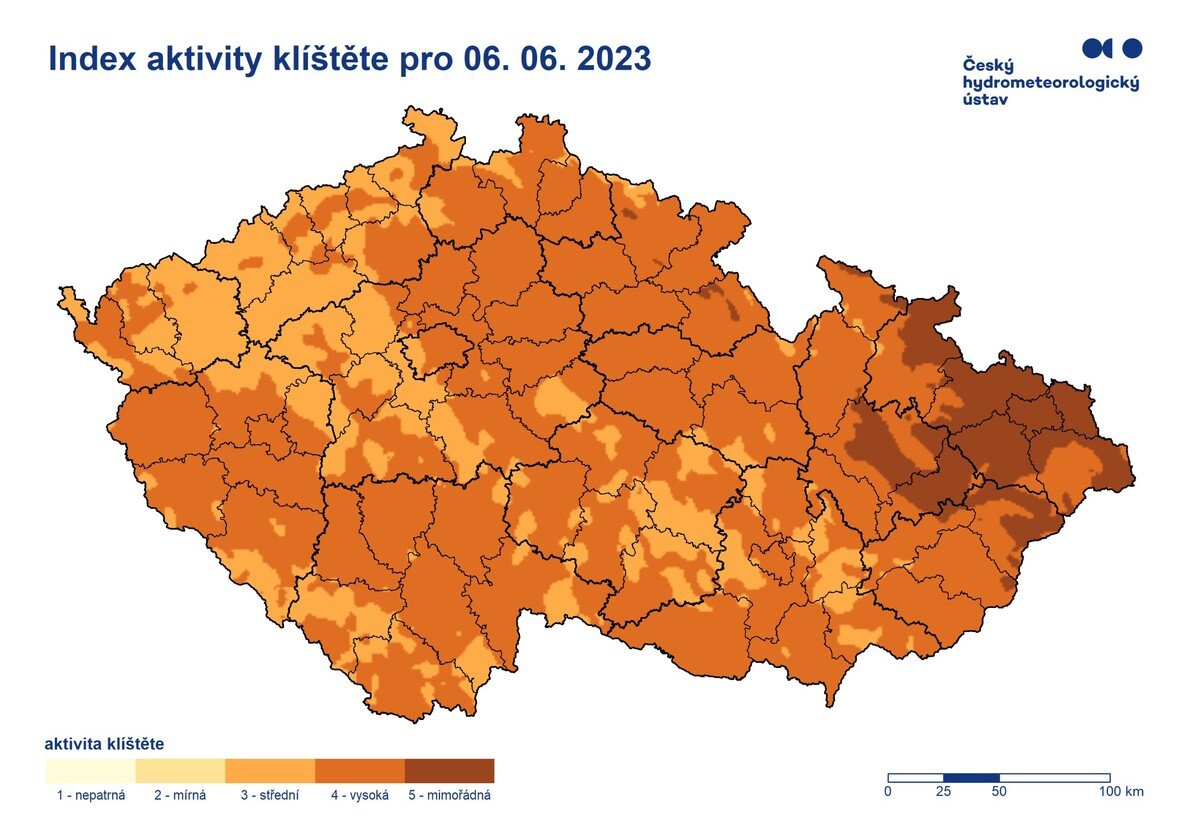 klíště