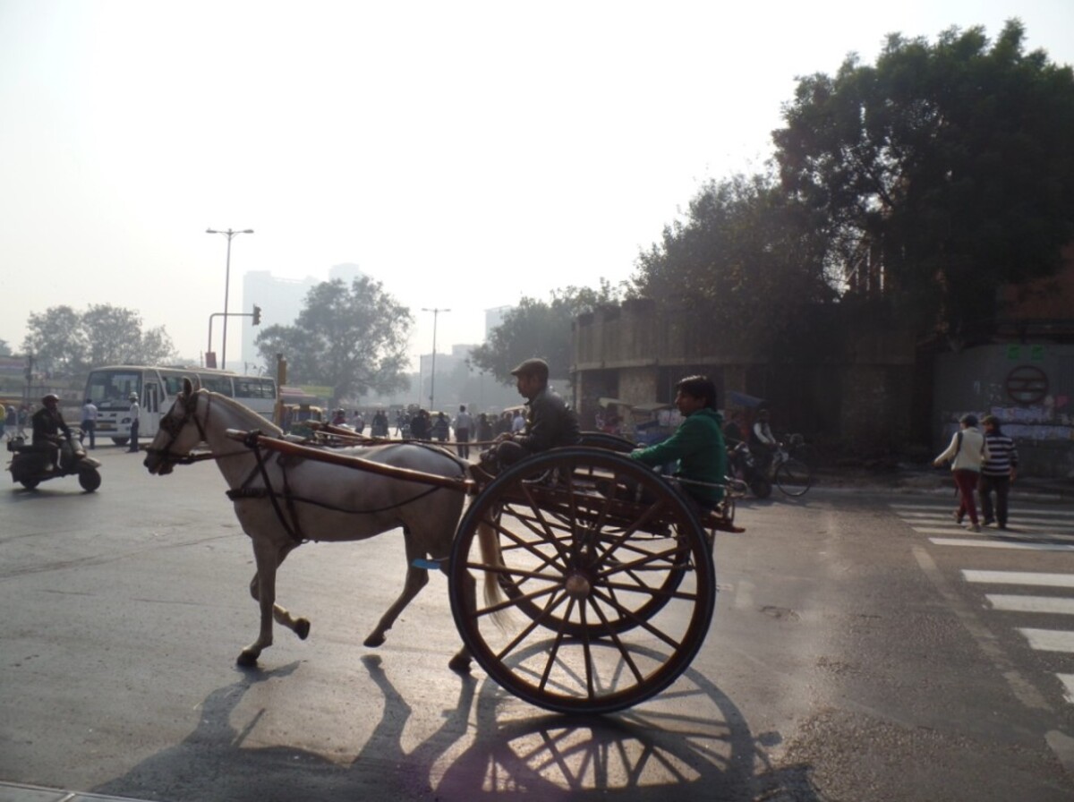 Indovia využívajú rôzne typy dopravy. Od áut, cez skútre, až po kone. 