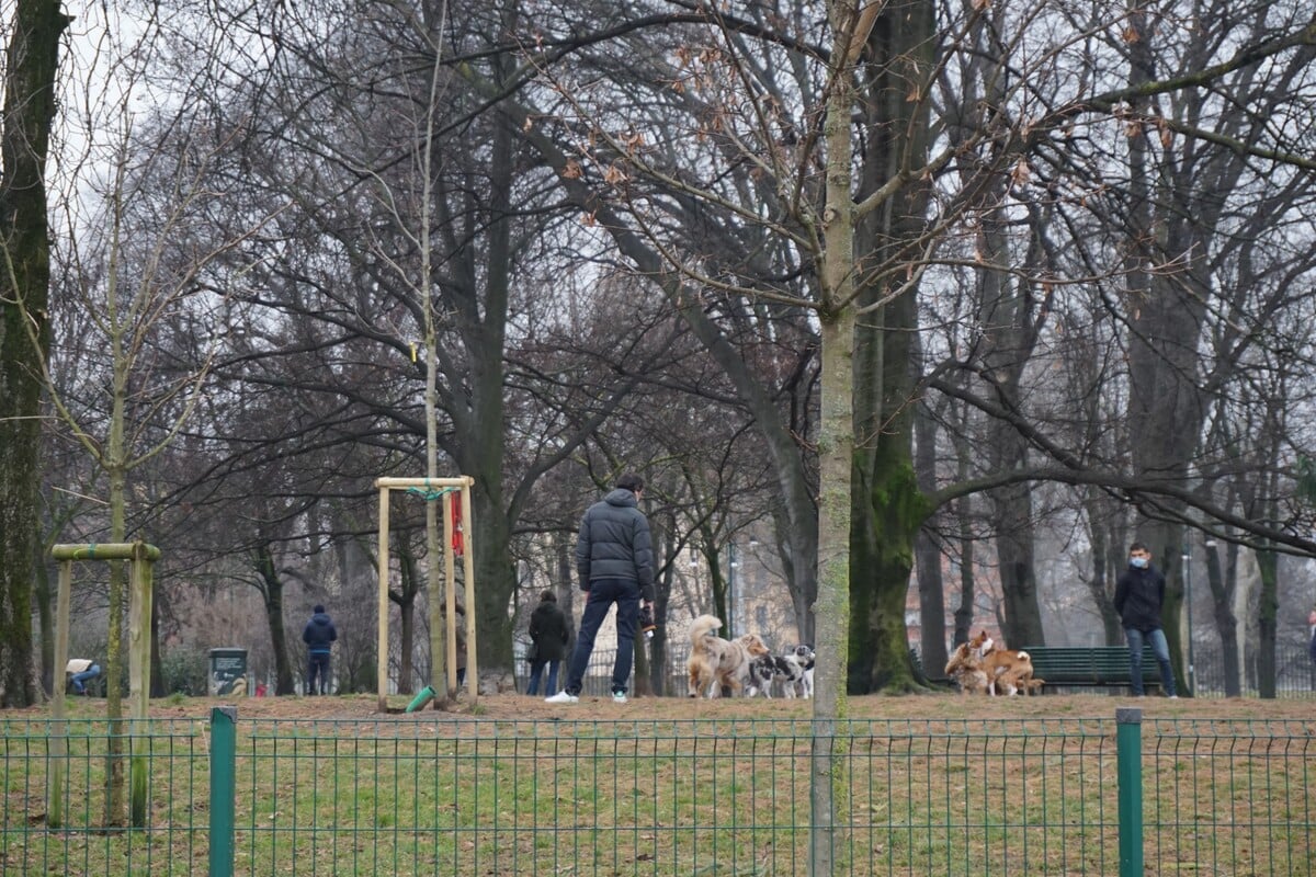 Košice sú pet-friendly mesto, no jeho obyvatelia by prijali viac odpadkových košov a staníc s vrecúškami.