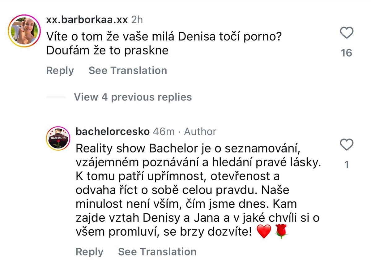 Bachelor Česko