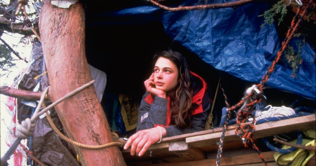 Julia odmítala dva roky slézt ze stromu, aby ho zachránila. Namísto WC měla kbelík, dřevaři ji vyháněli vodními děly