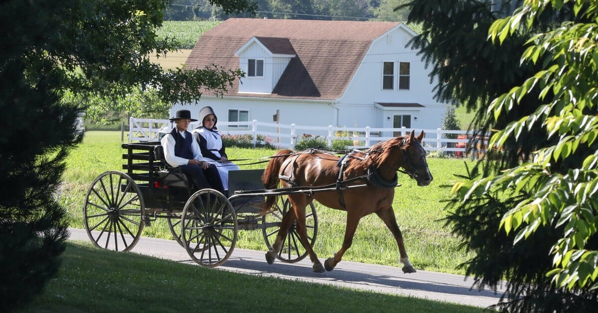 V posteli spí s prknem, odmítají elektřinu a jsou rájem sexuálních predátorů. Jak se žije u amišů?