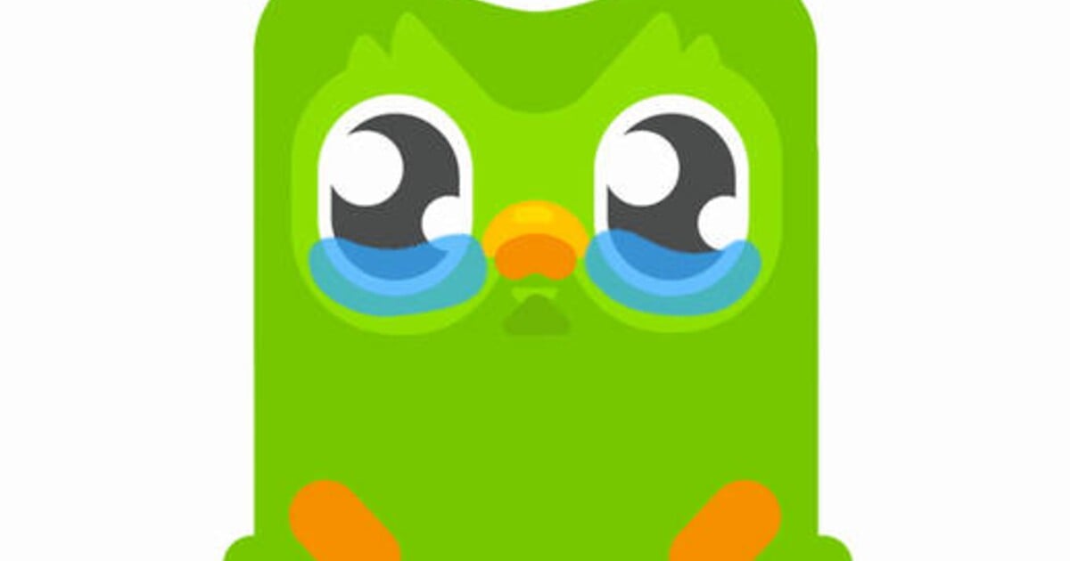 Sova Duo vstala z mrtvých! Duolingo oznámilo zázračnou událost