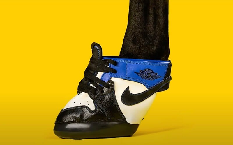 Legendárne tenisky Air Jordan už môžu nosiť aj kone. Americký umelec ich ponúka za 1 200 dolárov.