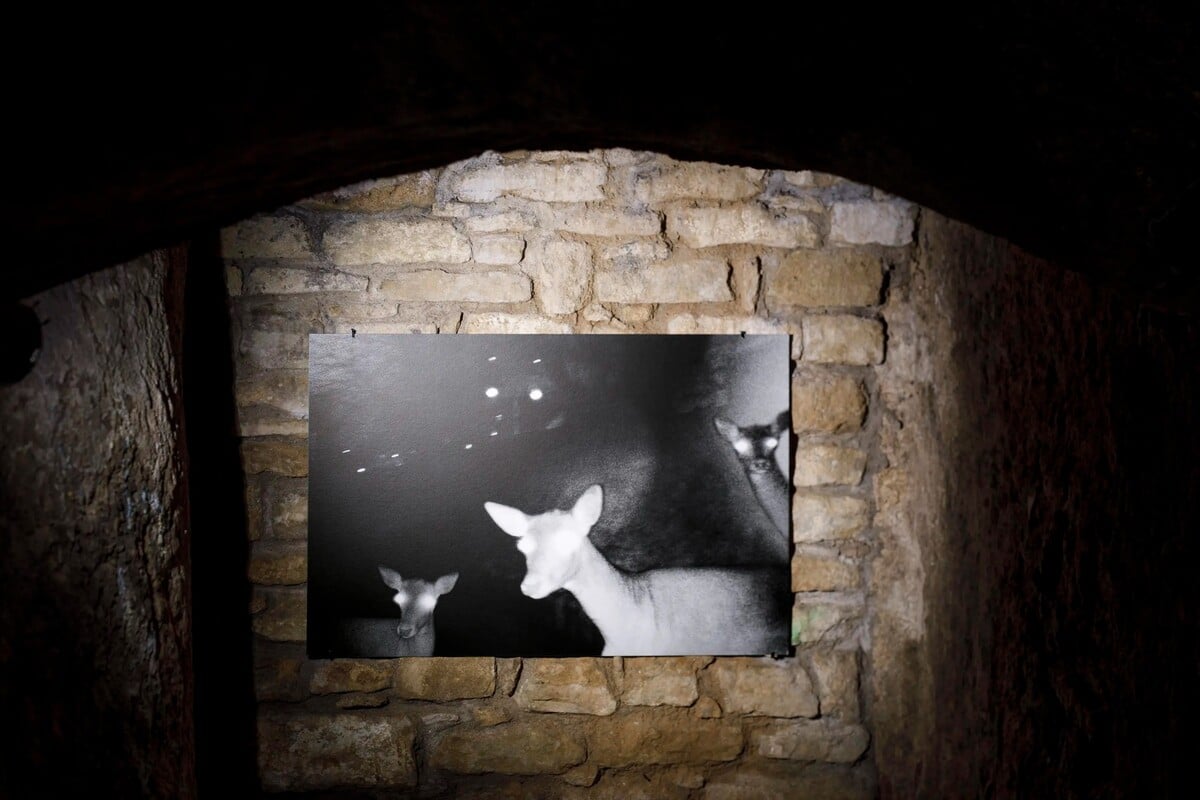 Kateřina Simerová: V temnotách