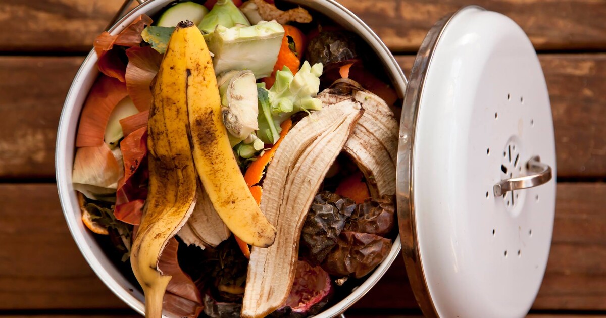 Výsledok vyhľadávania obrázkov pre dopyt líder v boji proti plytvaniu jedlom