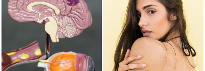 Ženy, které mají více sexu, mají lépe vyvinutý mozek, tvrdí nová studie