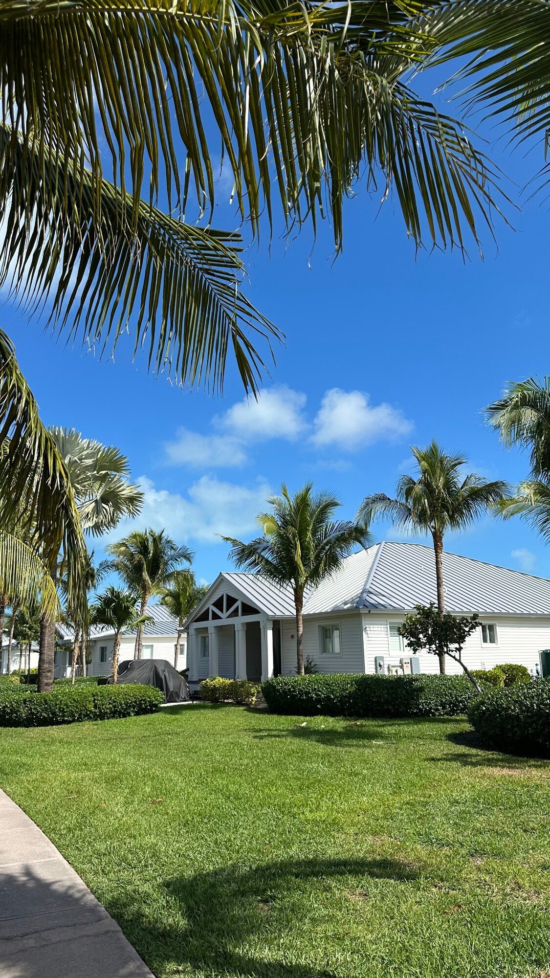 Bahamy – Bimini.