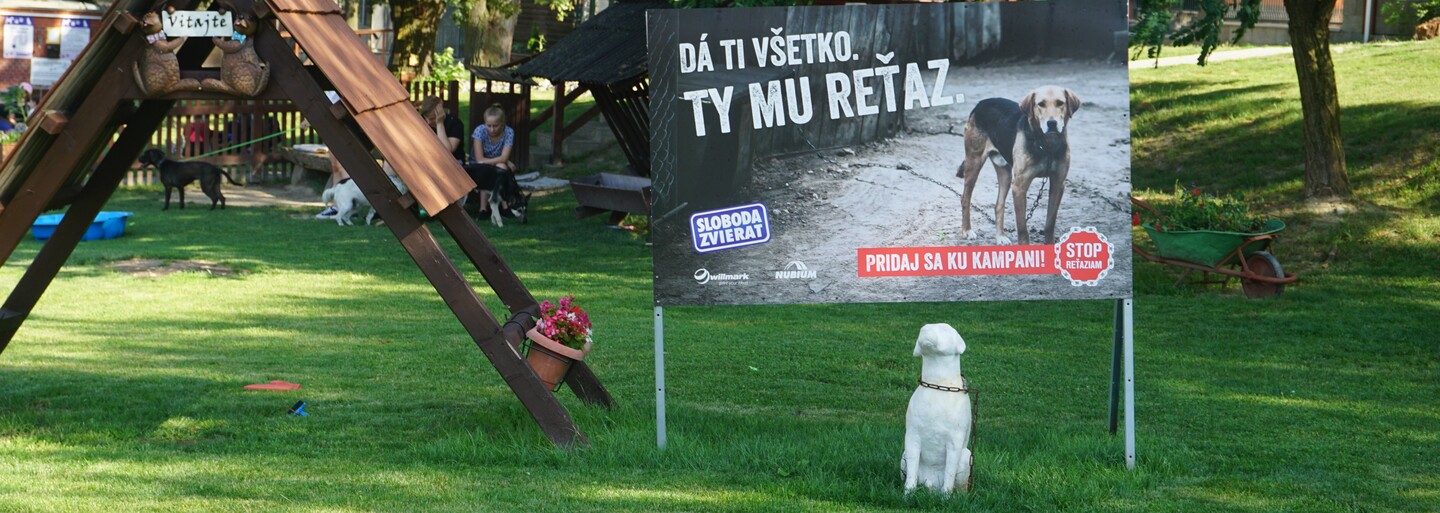 Adoptuj si psíka z útulku aj ty. Navštívili sme ten bratislavský, aby sme ti ukázali krásavcov, ktorí tam čakajú na lásku