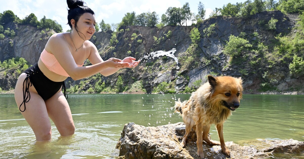 Voda teplá jako kafe. Na Lipně naměřili nejvyšší teplotu vody za posledních 11 let