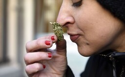 I rekreační užívání marihuany může u teenagerů způsobovat výpadky paměti, tvrdí výzkum