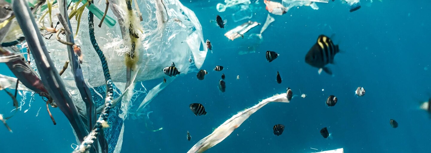 Pokud lidstvo nezmění současné návyky, do roku 2040 bude v oceánech více plastů než ryb