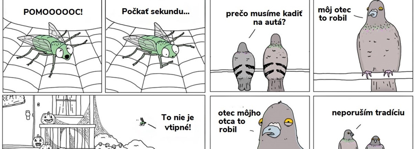 Ako by to vyzeralo, ak by zvieratá vedeli rozprávať? Reči mačiek by boli plné zlomyseľnosti a sarkazmu