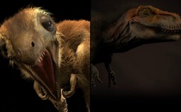 Ako mohli vyzerať T-Rex so svojimi mláďatami? Ukážu ti to najnovšie poznatky modernej vedy