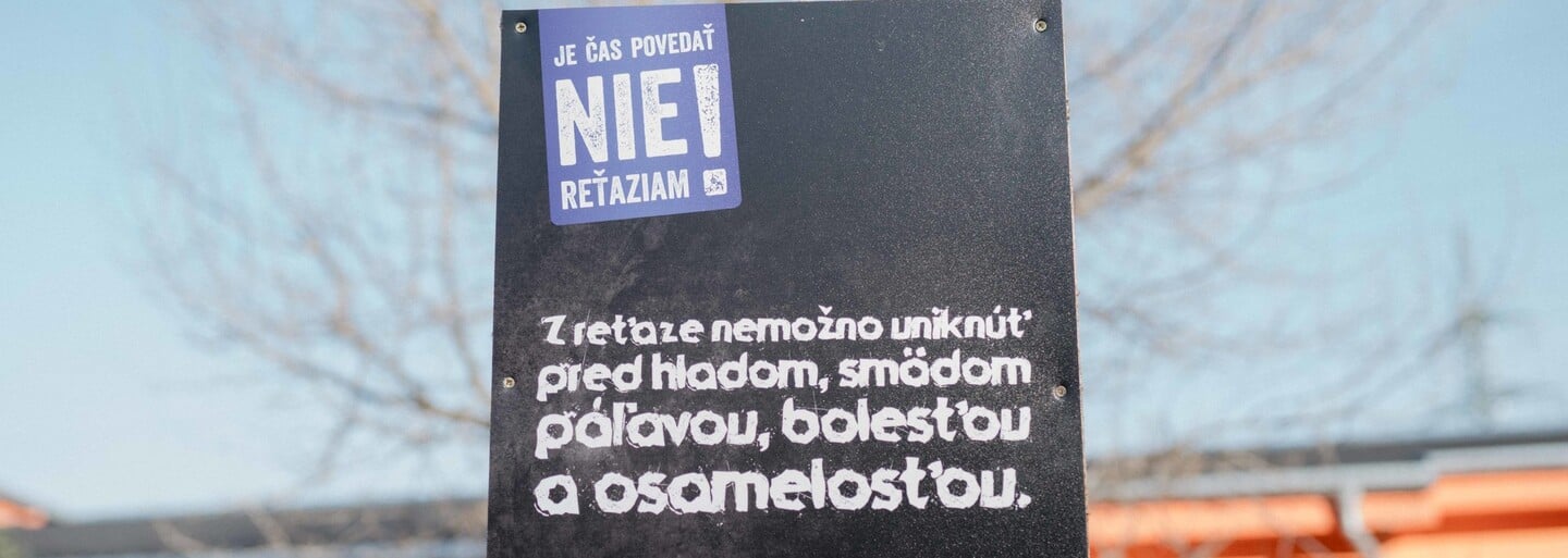 Ako sa darí zvieratám v bratislavskom útulku? Pandémia zvýšila počet adopcií, no desiatky psíkov strávia Vianoce bez rodiny