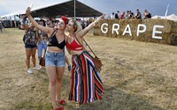 Ako sa rodil festival Grape? Sleduj 35-minútový dokumentárny film z dielne Refresheru