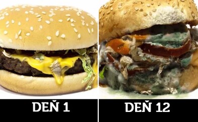 Ako vyzerá mesiac starý hamburger či 20 dní hnijúci banán? Netradičné zrýchlené zábery zodpovedajú všetky tvoje zvrátené otázky Ako vyzerá mesiac starý hamburger či 20 dní hnijúci banán? Netradičné zrýchlené zábery zodpovedajú všetky tvoje zvrátené otázky