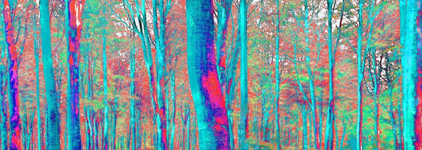 Ako vyzerajú portréty kreslené pod vplyvom LSD?