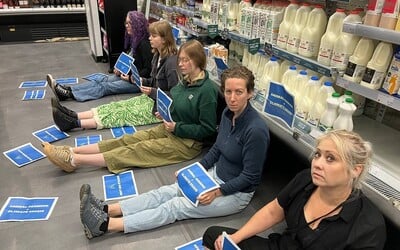 Aktivisti v Británii zablokovali v supermarketoch zákazníkom prístup ku kravskému mlieku v štyroch britských mestách
