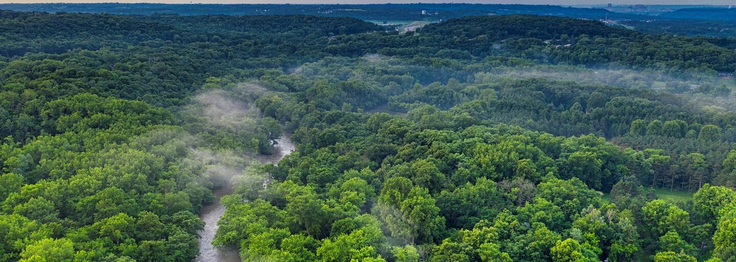 Amazonský deštný prales začal vytvářet více emisí CO2, než kolik jich absorbuje. Může za to zejména vypalování
