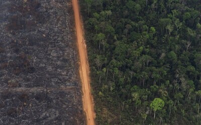 Amazonský prales opět v plamenech. Požárů je o třetinu více než loni