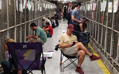 Američania budú utešovať vystrašených psov namiesto sledovania ohňostrojov. Deň nezávislosti niektorí strávia v útulkoch Američania budú utešovať vystrašených psov namiesto sledovania ohňostrojov. Deň nezávislosti niektorí strávia v útulkoch