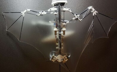 Američania zhotovili dron v podobe netopiera s totožnými letovými schopnosťami Američania zhotovili dron v podobe netopiera s totožnými letovými schopnosťami