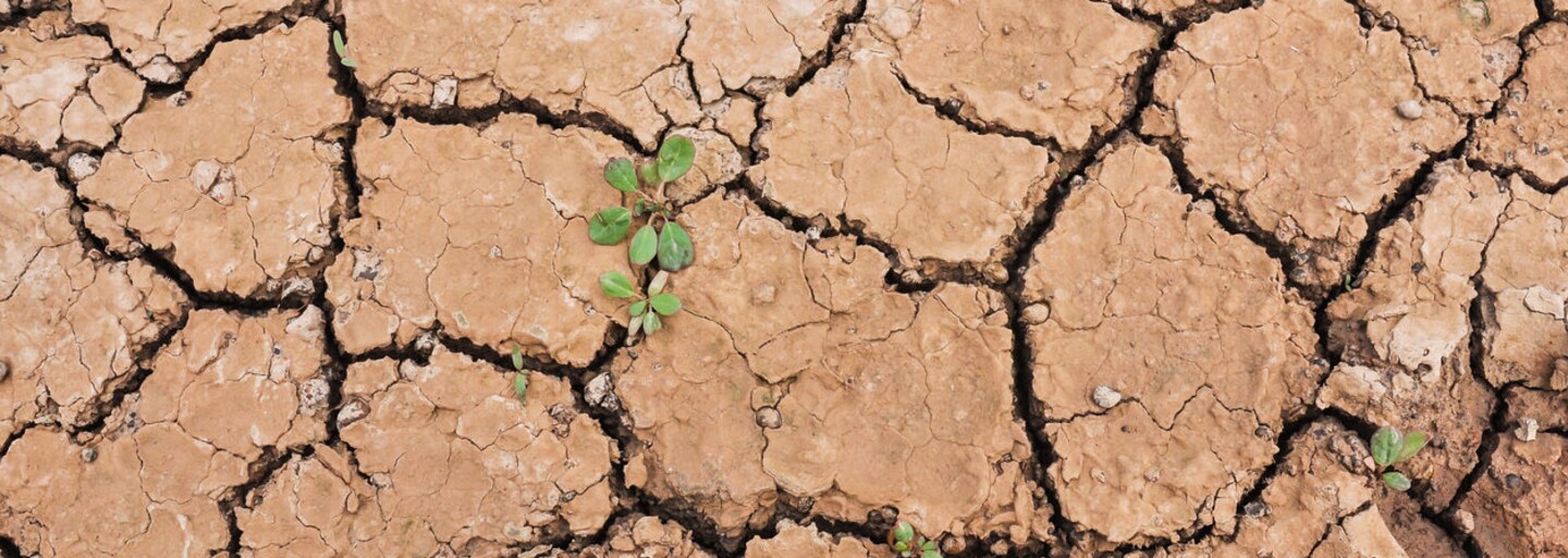 Americkí lekári tvrdia, že klimatické zmeny škodia nášmu zdraviu. Čoho sa máme obávať?