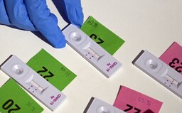 Antigenně se aktuálně mohou Rakušané otestovat v pohodlí domova. Sám zjistíš, zda jsi pozitivní, pak se musíš nahlásit úřadům