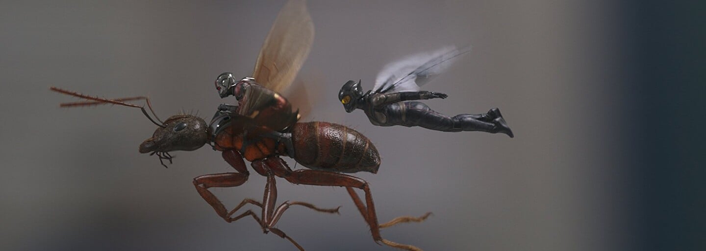 Ant-Man a Wasp je oproti jednotce bláznivější a akčnější jízdou plnou humoru. Zároveň otevírá bránu Avengers 4 (Recenze)