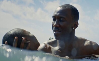 Atmosferický trailer vás zavede do příběhu afroamerického homosexuála v průběhu etap jeho života Atmosferický trailer vás zavede do příběhu afroamerického homosexuála v průběhu etap jeho života