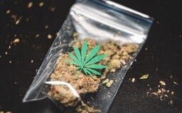 Austrália legalizovala rekreačné užívanie marihuany na osobné účely. Môžeš mať u seba až 50 gramov