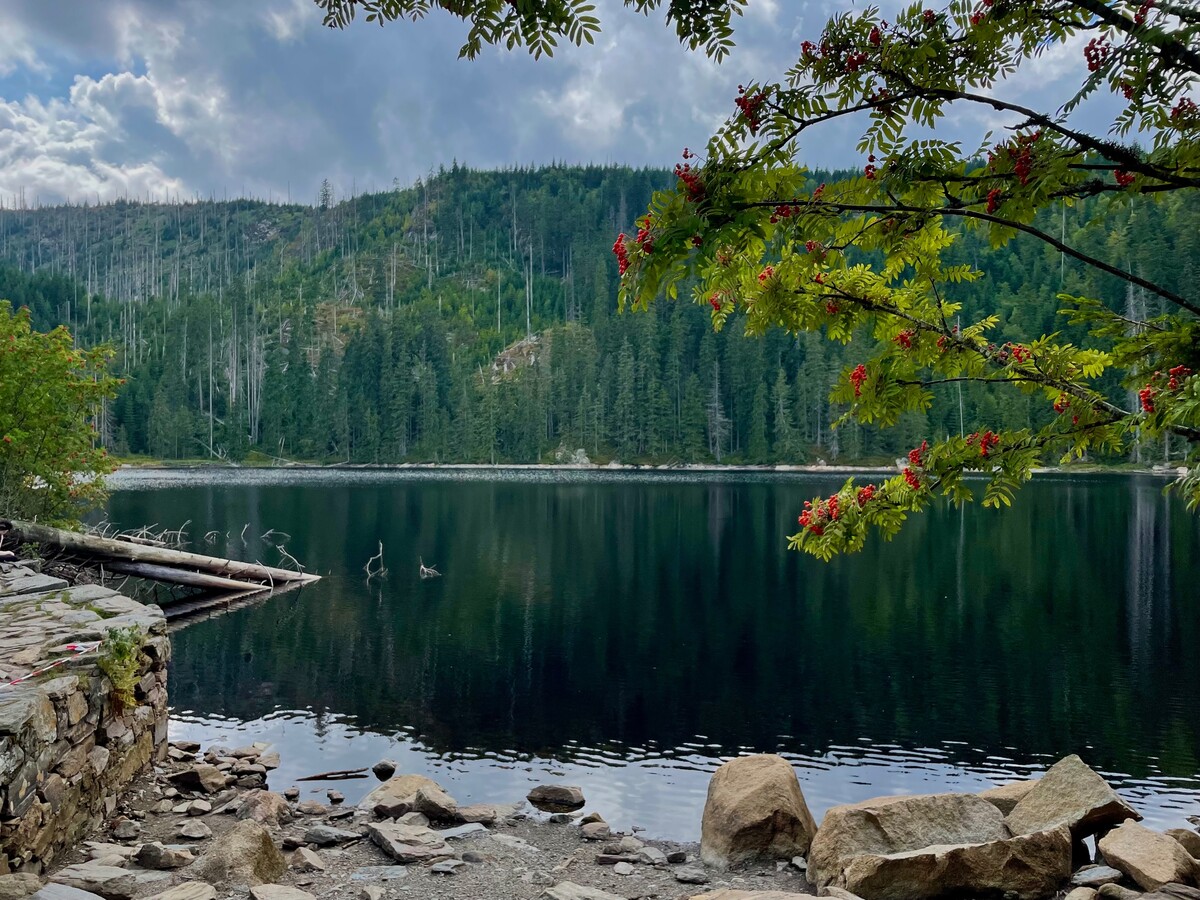 kam na vylet prasilske jezero sumava priroda