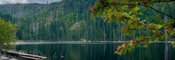 Kam na výlet: Prášilské jezero vzniklo díky ledovci v srdci šumavského národního parku