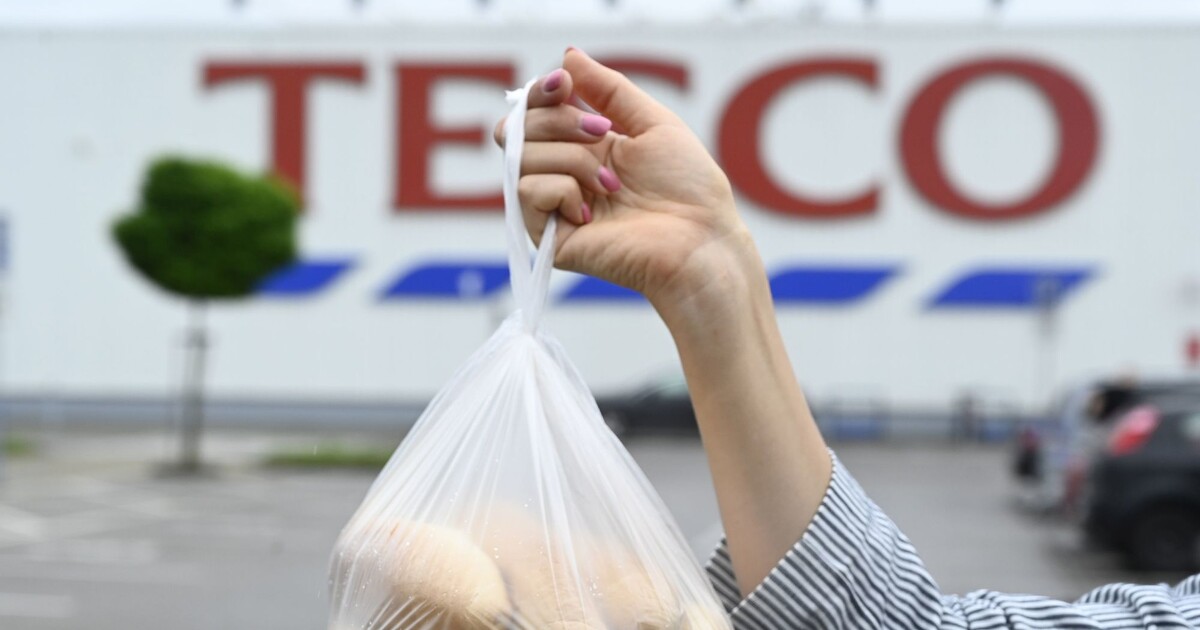 Tesco připravuje speciální slevu pro studenty. Podívej se, kolik ušetříš