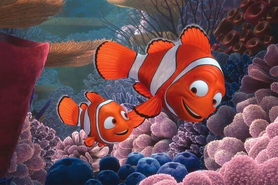 Jak se jmenuje táta Nema ve filmu Hledá se Nemo?