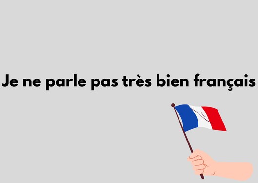 Čo znamená v preklade táto francúzska fráza? 