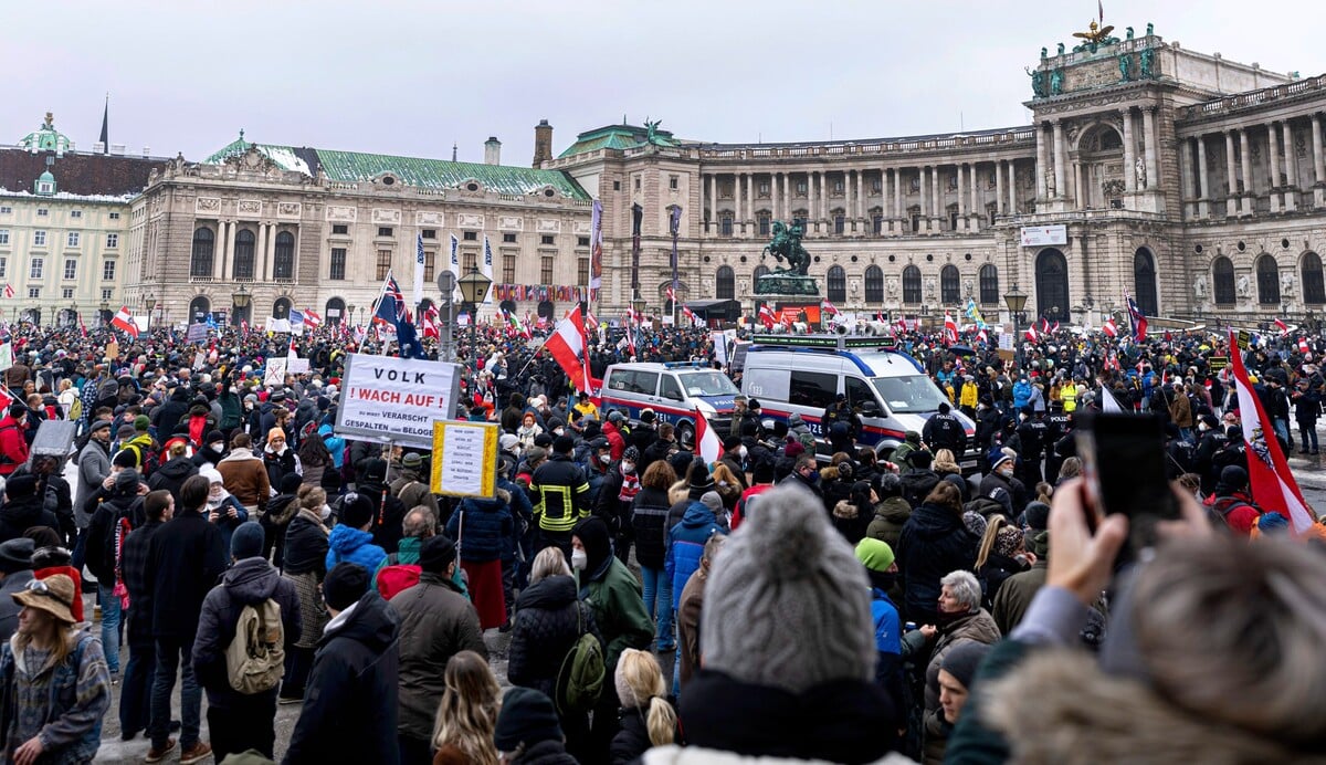 protest Viedeň
