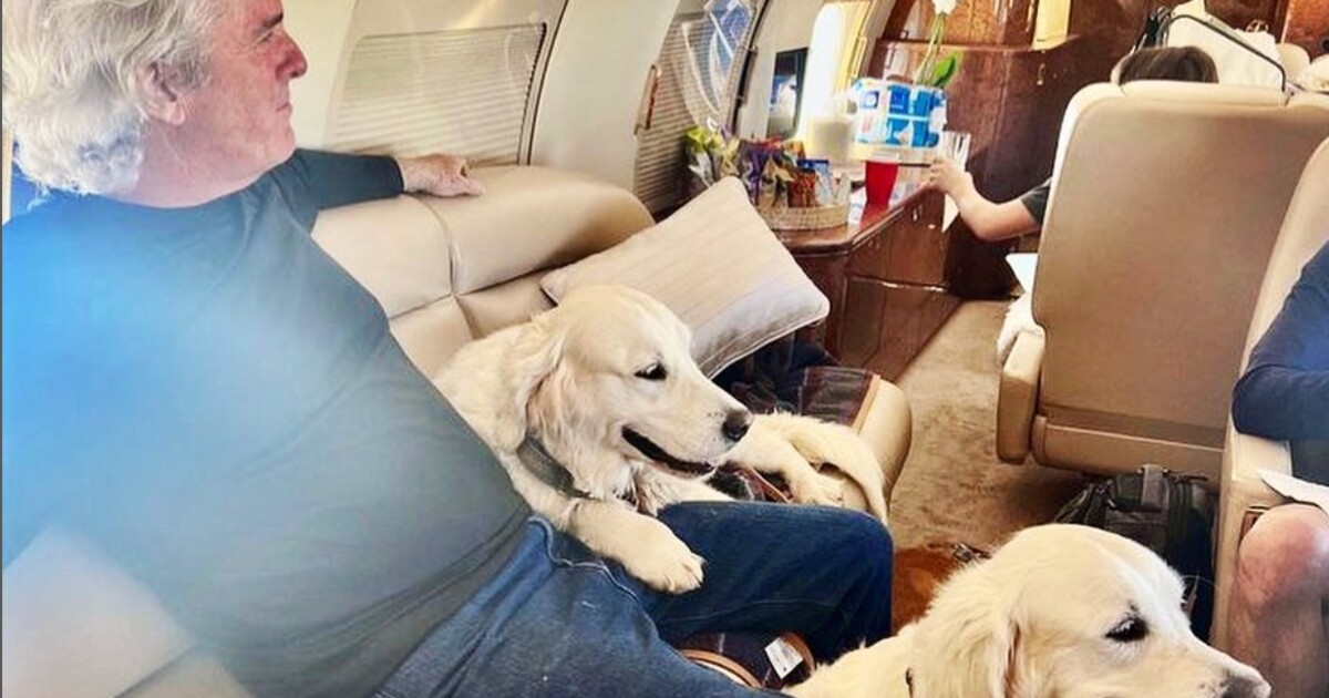 Luxusní let s mazlíčkem za skoro 250 tisíc korun. Firmu kvůli soukromým letům kritizují ochránci životního prostředí