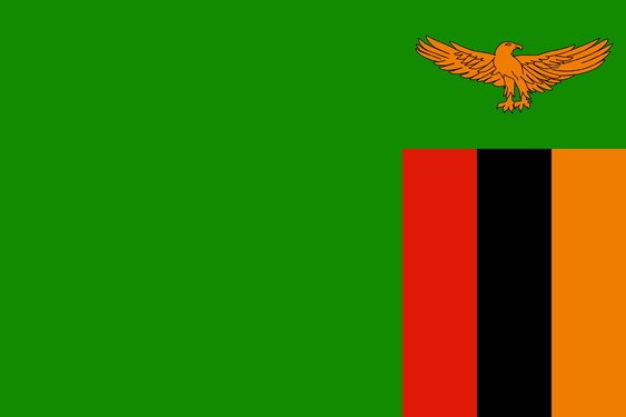 Africké státy také často implementují do svých vlajek ptáky, ostatně Egypt jsme tu už například měli. Komu patří vlajka s orlem jasnohlasým?