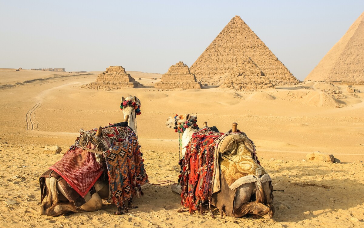 egypt, ťavy, pyramídy, cestovanie