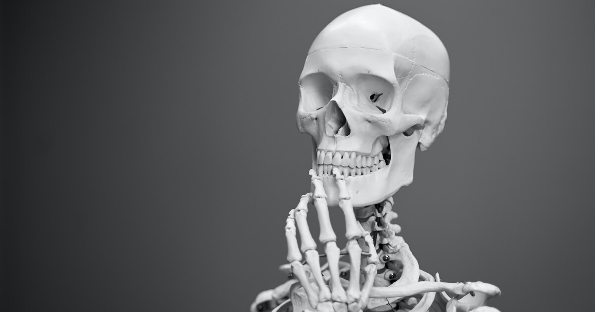 KVÍZ: Vyznáš se v kostech? Tenhle kvíz zvládnou jen ty nejbystřejší mozkovny