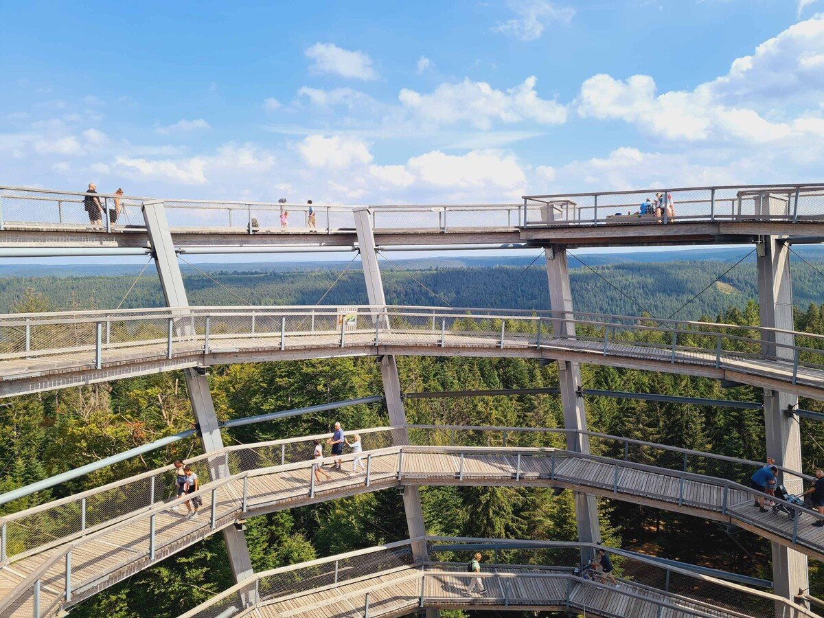 Stezka korunami stromů, Lipno, jižní Čechy, Česko, výlet