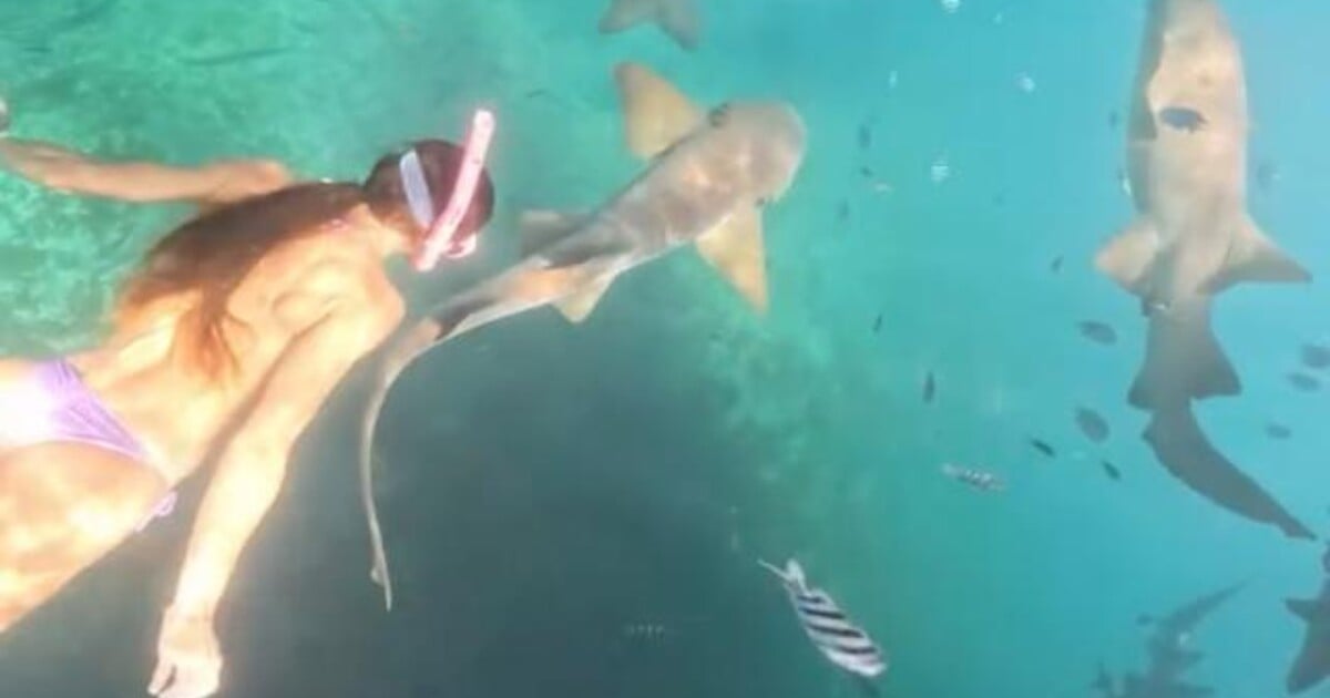 VIDEO: Žena zažila šok při šnorchlování na dovolené. Do stehna se jí zakousl žralok, dramatický boj zachytila kamera