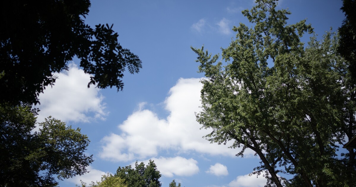 Zapoj smysly. Vnímej. Co je terapie přírodou a proč bys to měl*a zkusit taky?