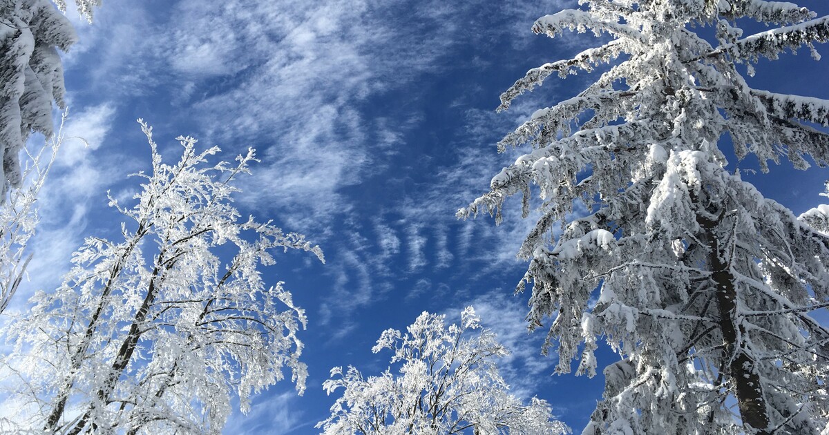 Česko zažívá nejchladnější ráno roku, na Šumavě je minus 20 stupňů. Čeká nás obleva?