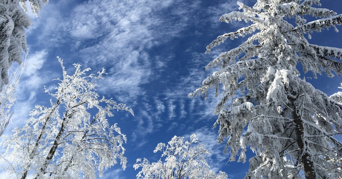 Předpověď počasí: Zima v Česku nekončí. Mrznout může i přes den