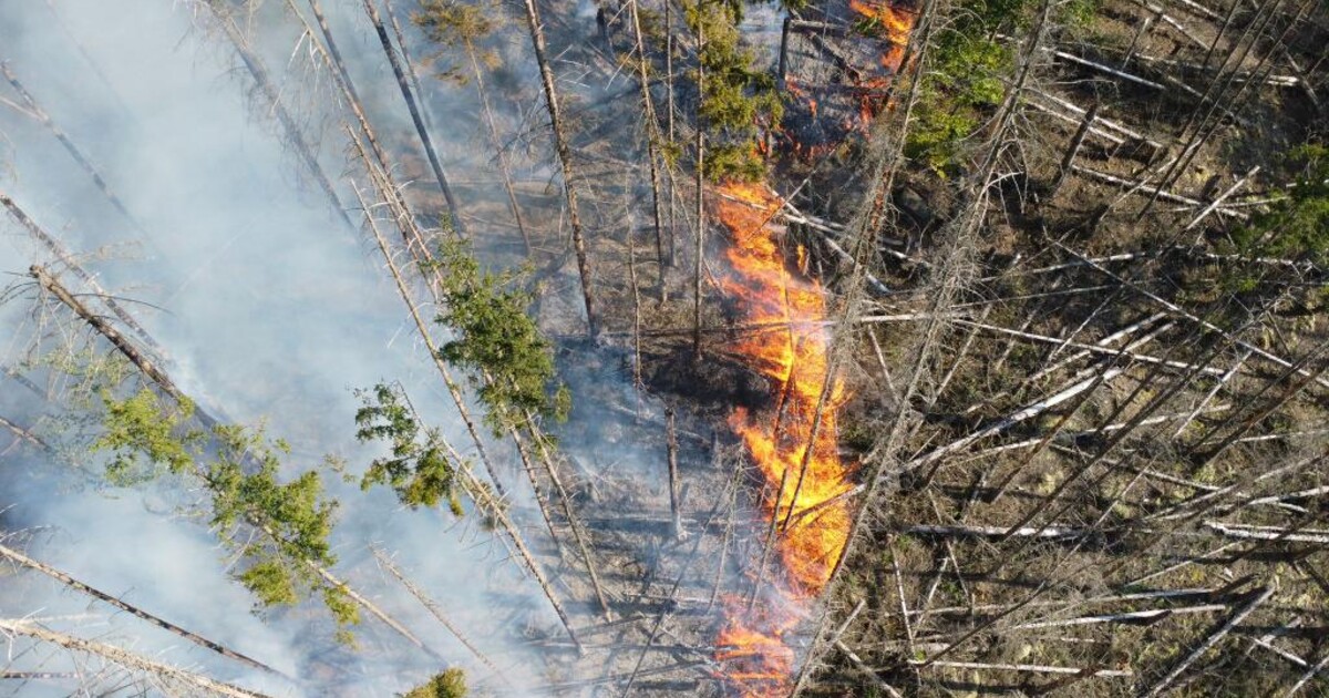 Teploty budou stoupat, meteorologové varují před vznikem požárů v těchto krajích