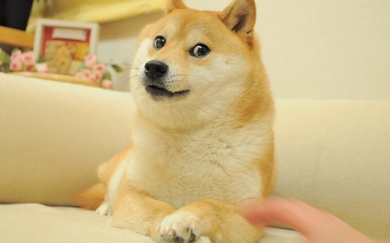 Originál „Doge“ meme vydražili za 4 milióny dolárov. Ide o rekordný predaj meme v podobe NFT.