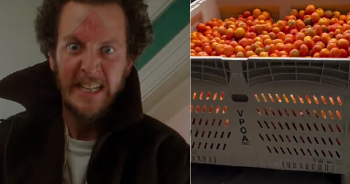 Co dneska dělá zloděj Marv ze Sám Doma? Pověsil herectví na hřebík a našel si neobvyklý koníček